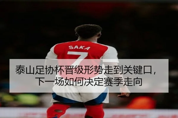 泰山足协杯晋级形势走到关键口，下一场如何决定赛季走向（qusports）